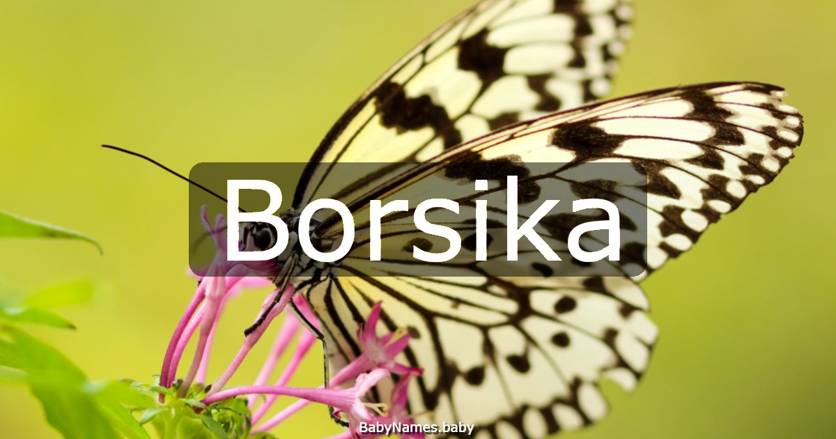 Borsika