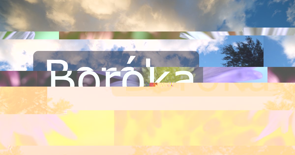 Boróka