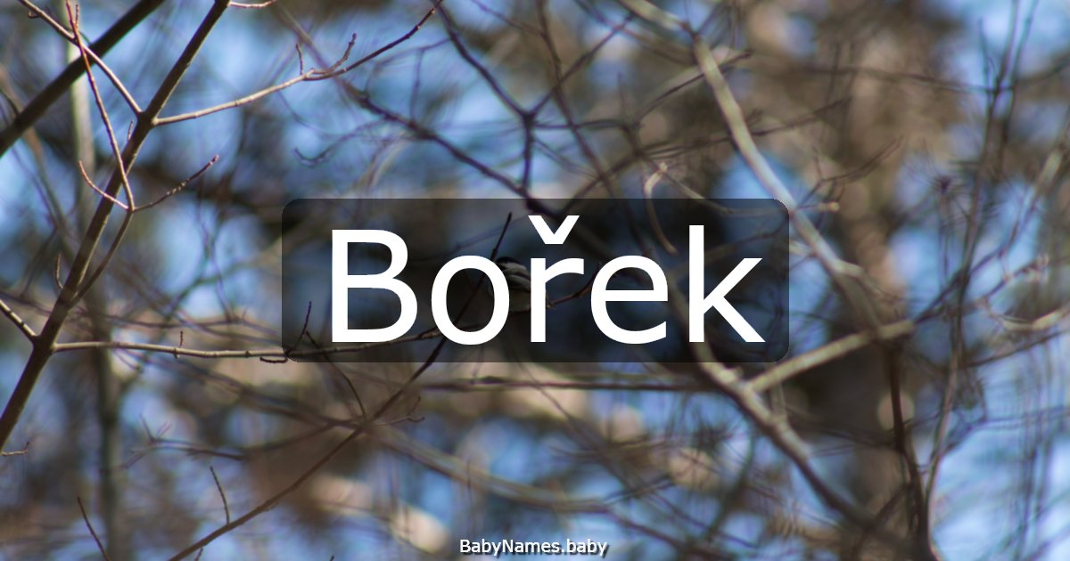Bořek