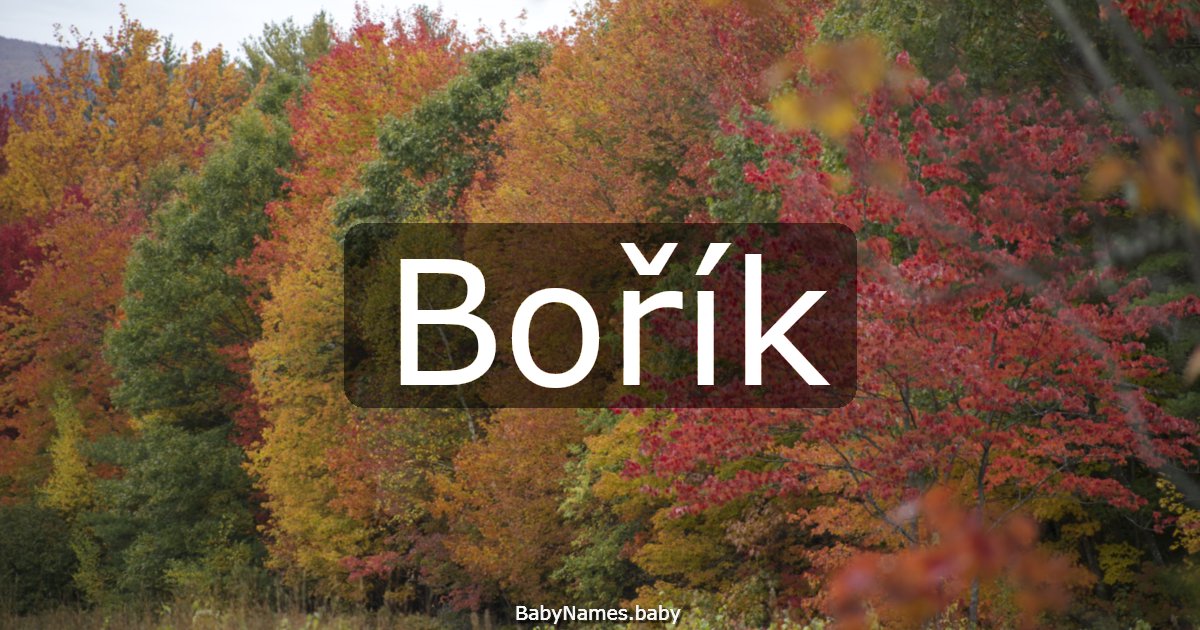 Bořík