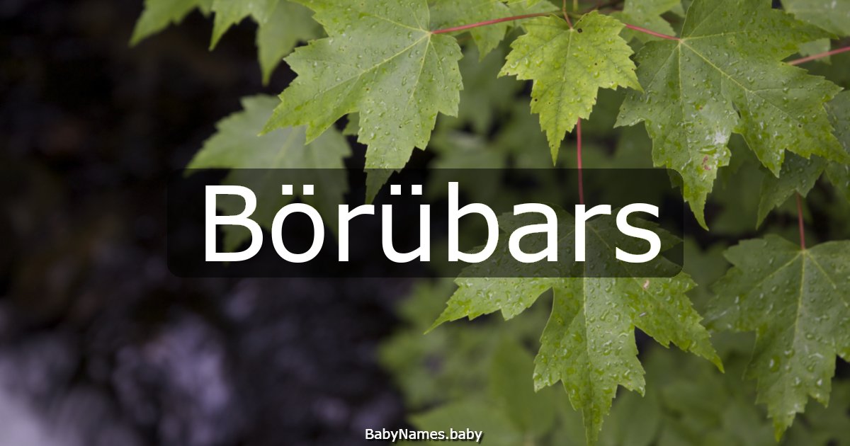 Börübars