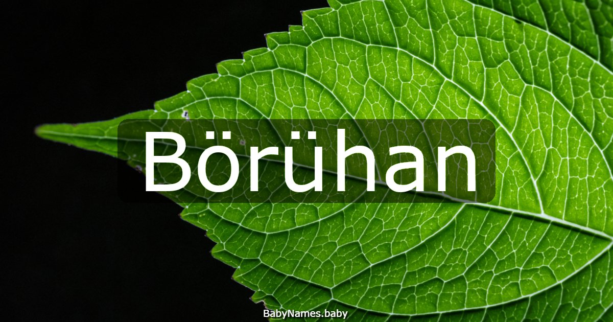Börühan