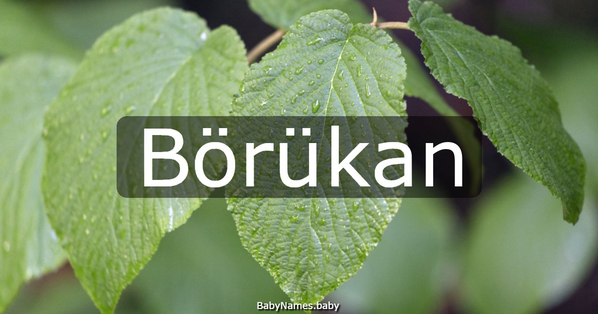 Börükan