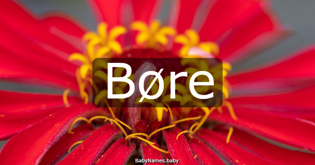 Børe