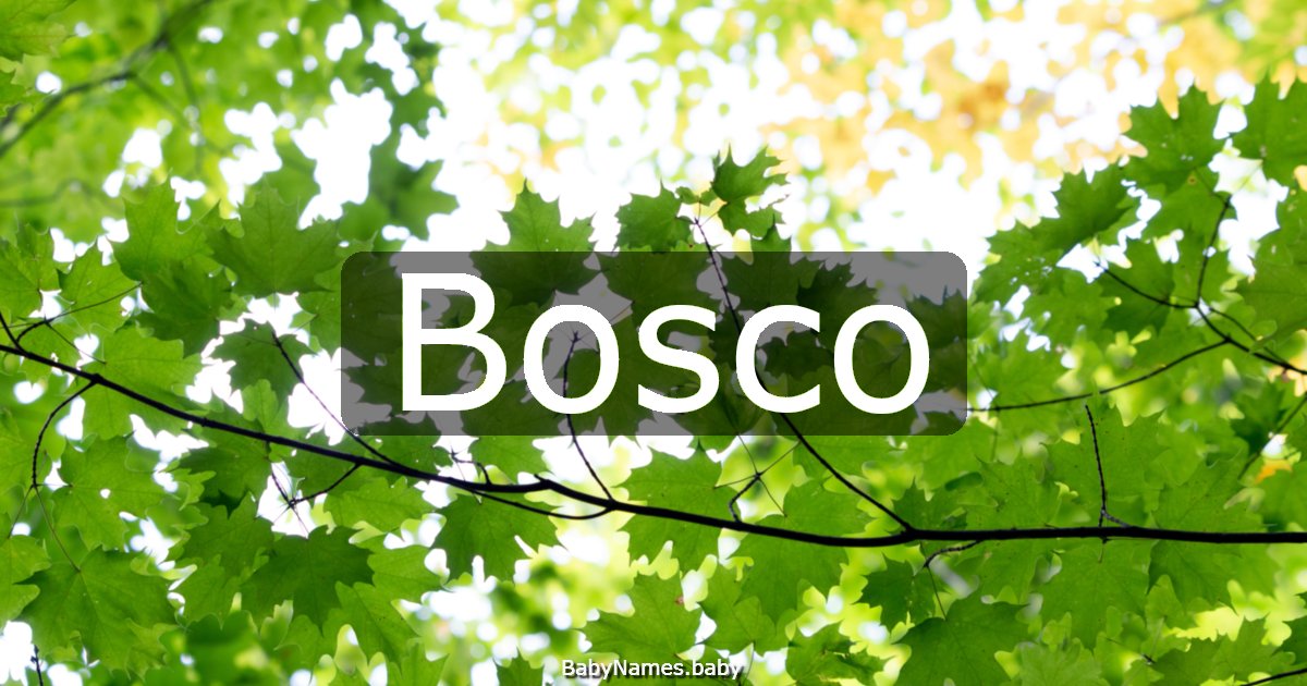 Bosco