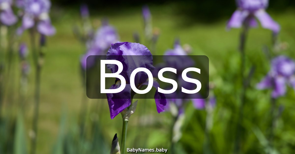 Boss