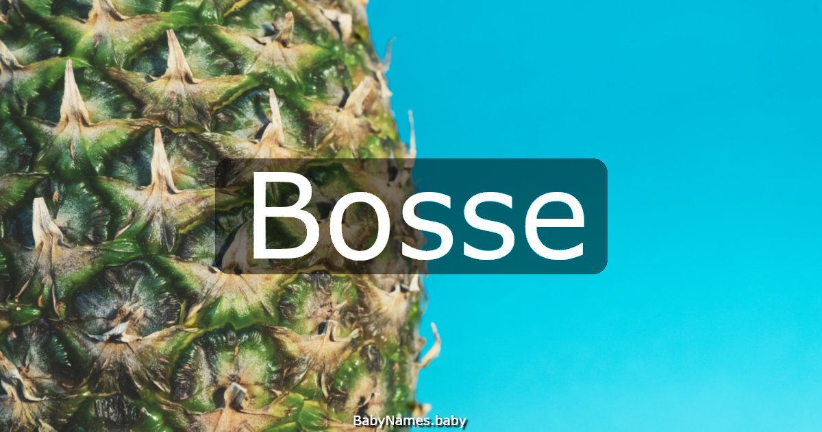Bosse