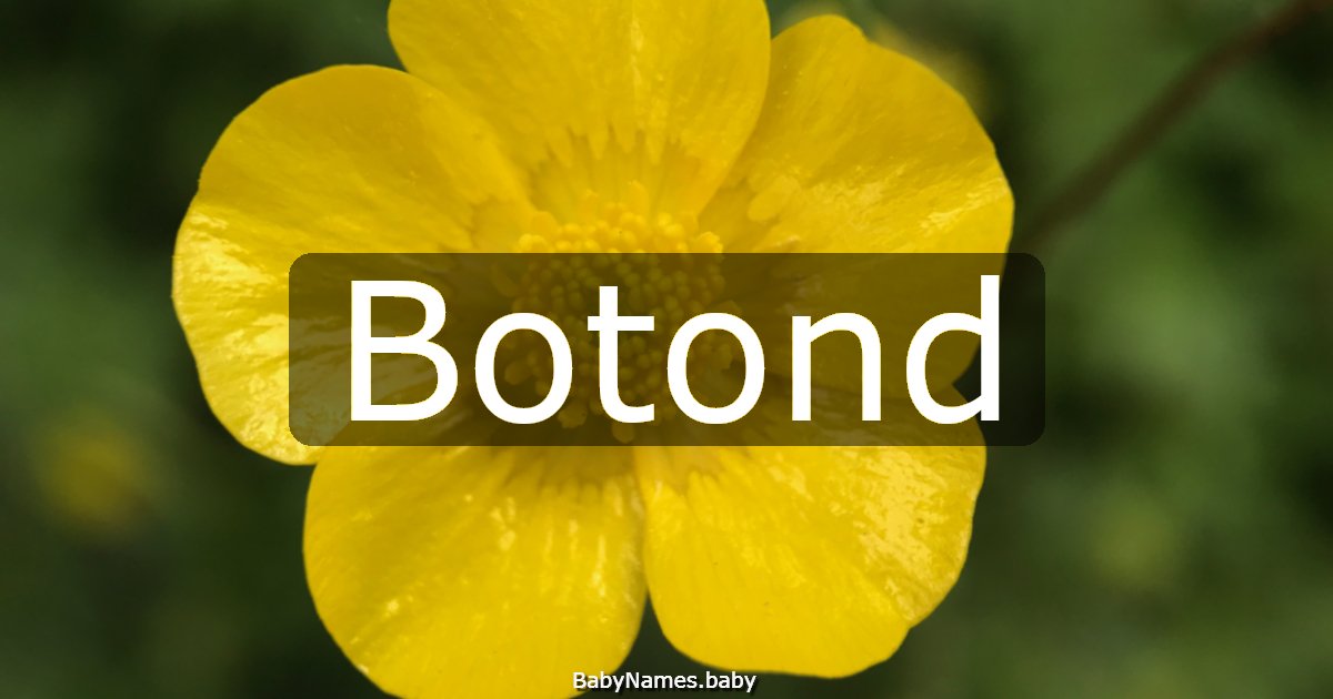 Botond