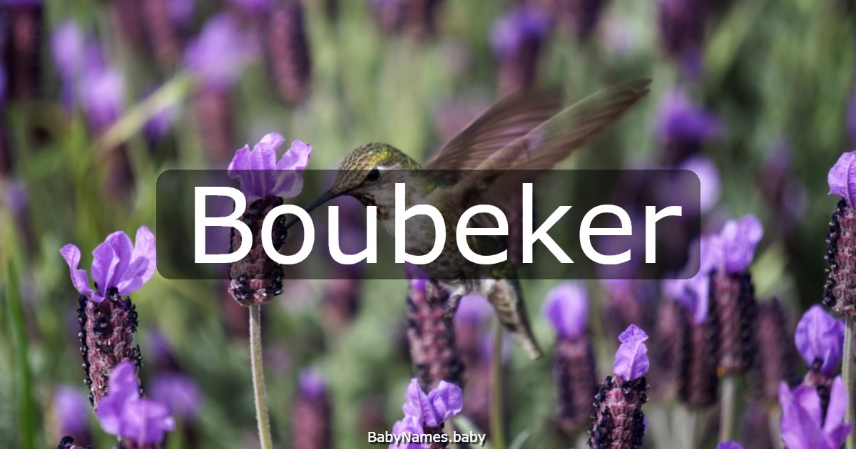 Boubeker