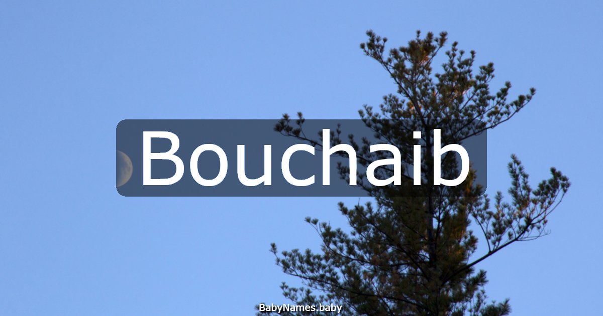 Bouchaib