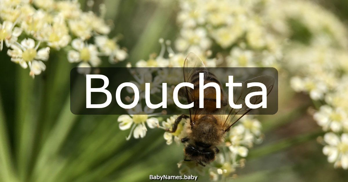 Bouchta
