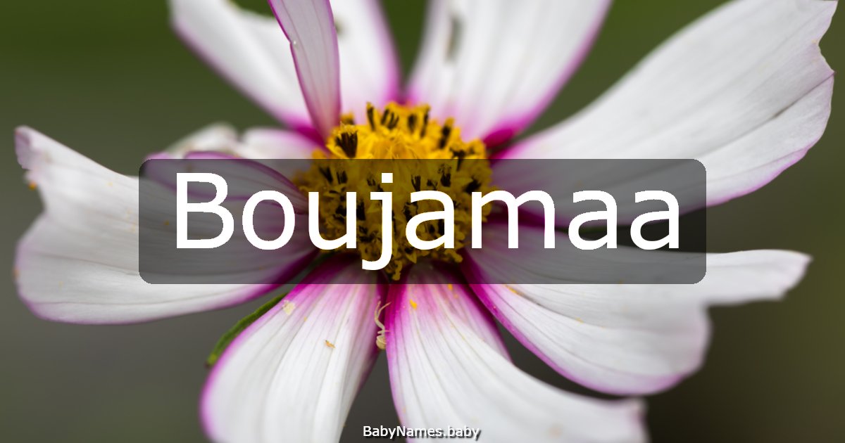Boujamaa