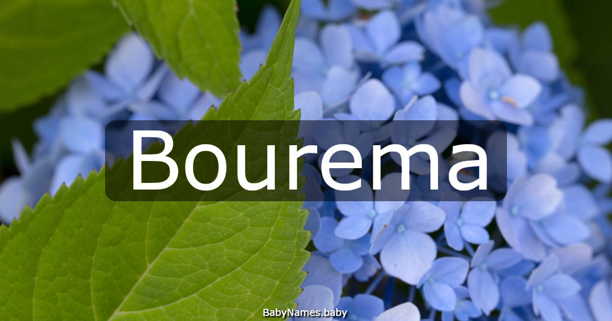 Bourema