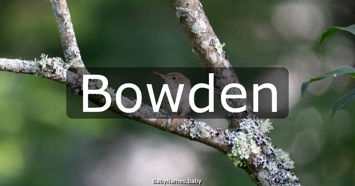 Bowden