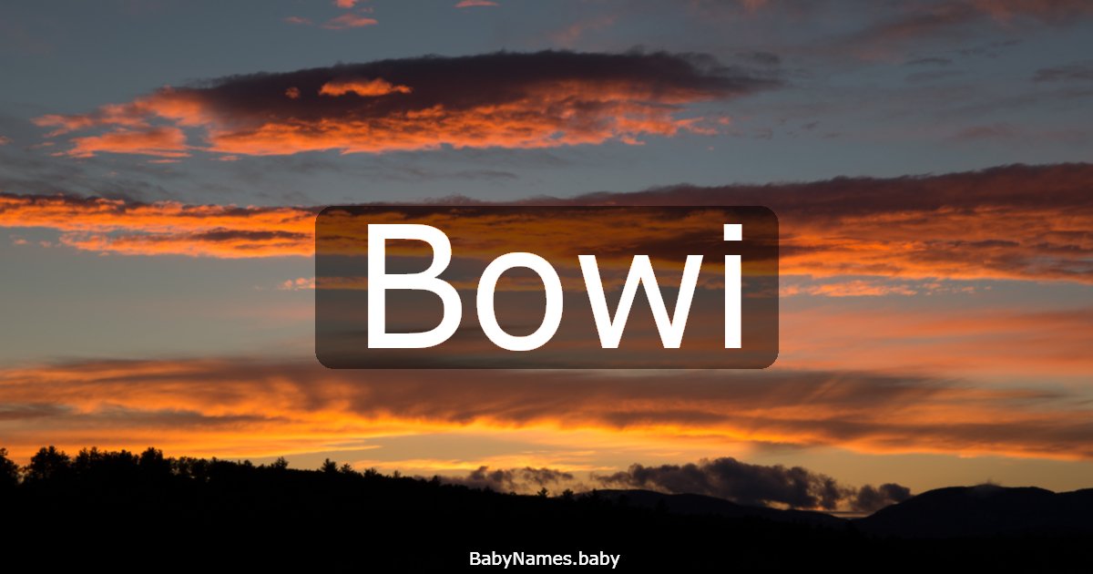Bowi