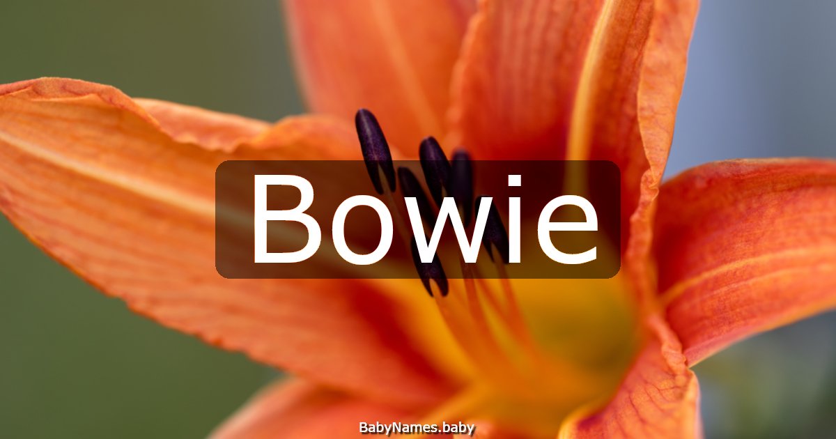 Bowie