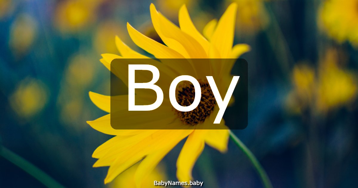 Boy