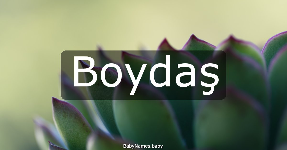 Boydaş