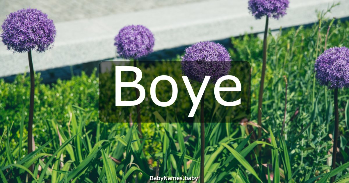 Boye