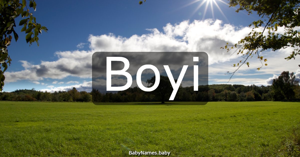 Boyi