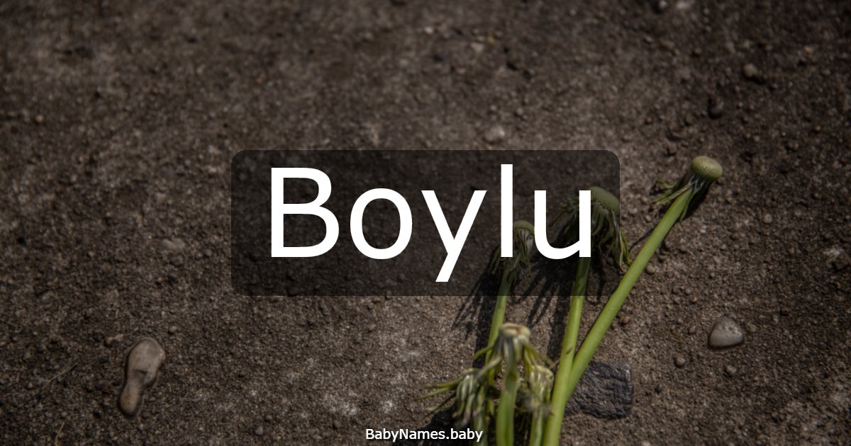 Boylu