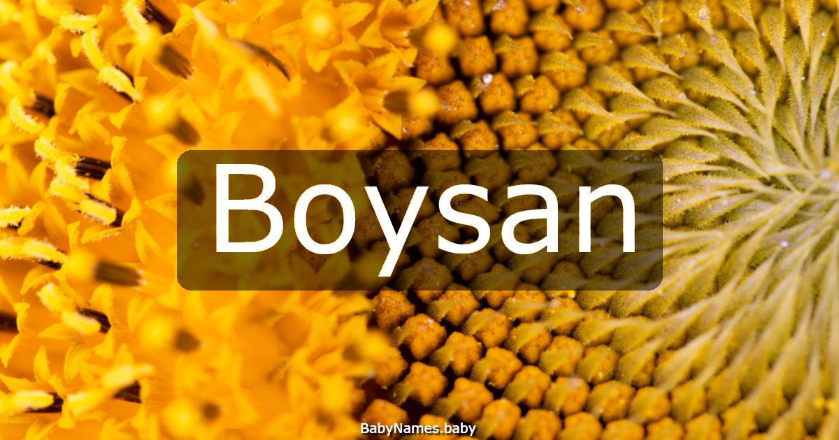 Boysan