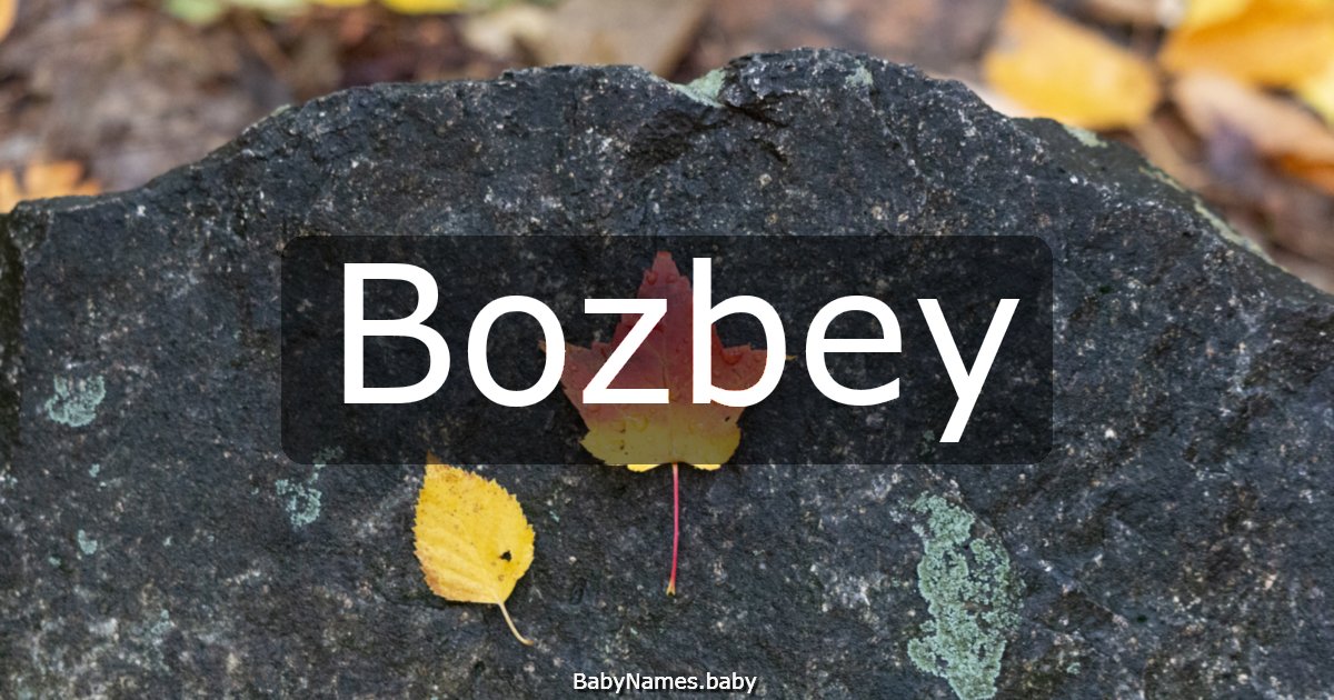 Bozbey