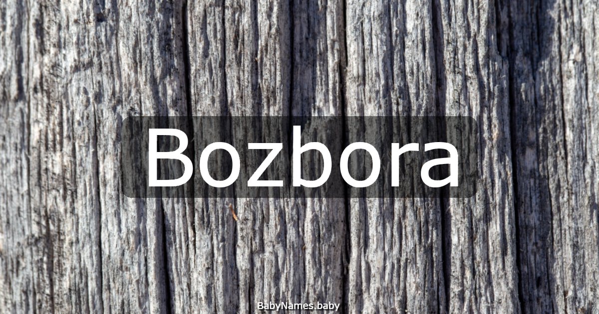 Bozbora