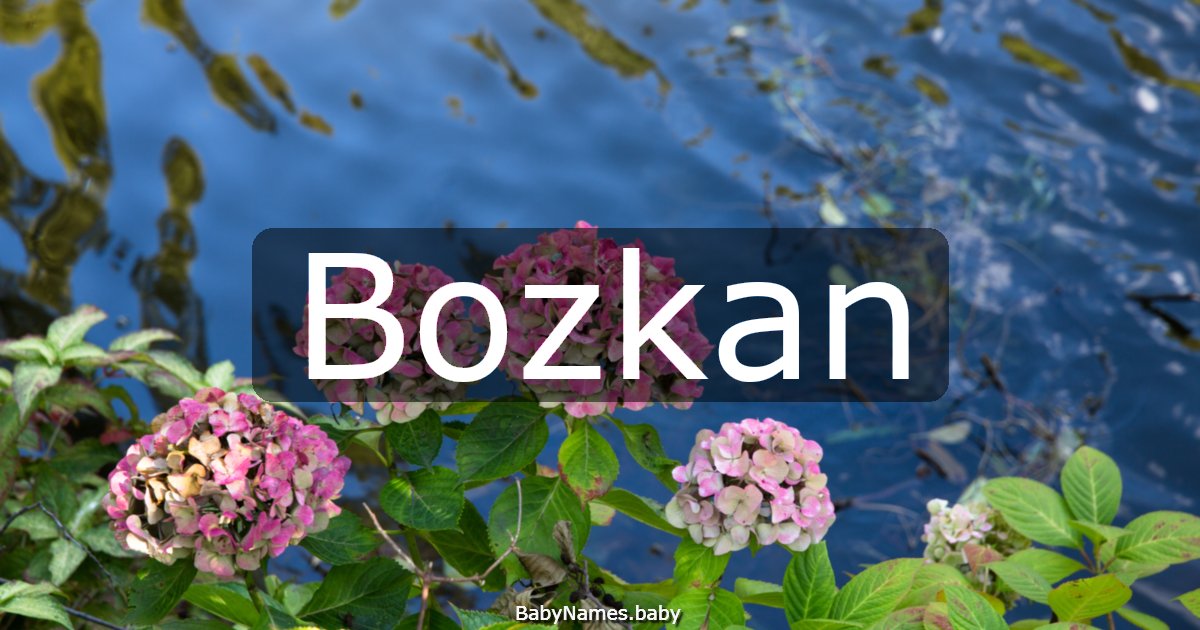 Bozkan