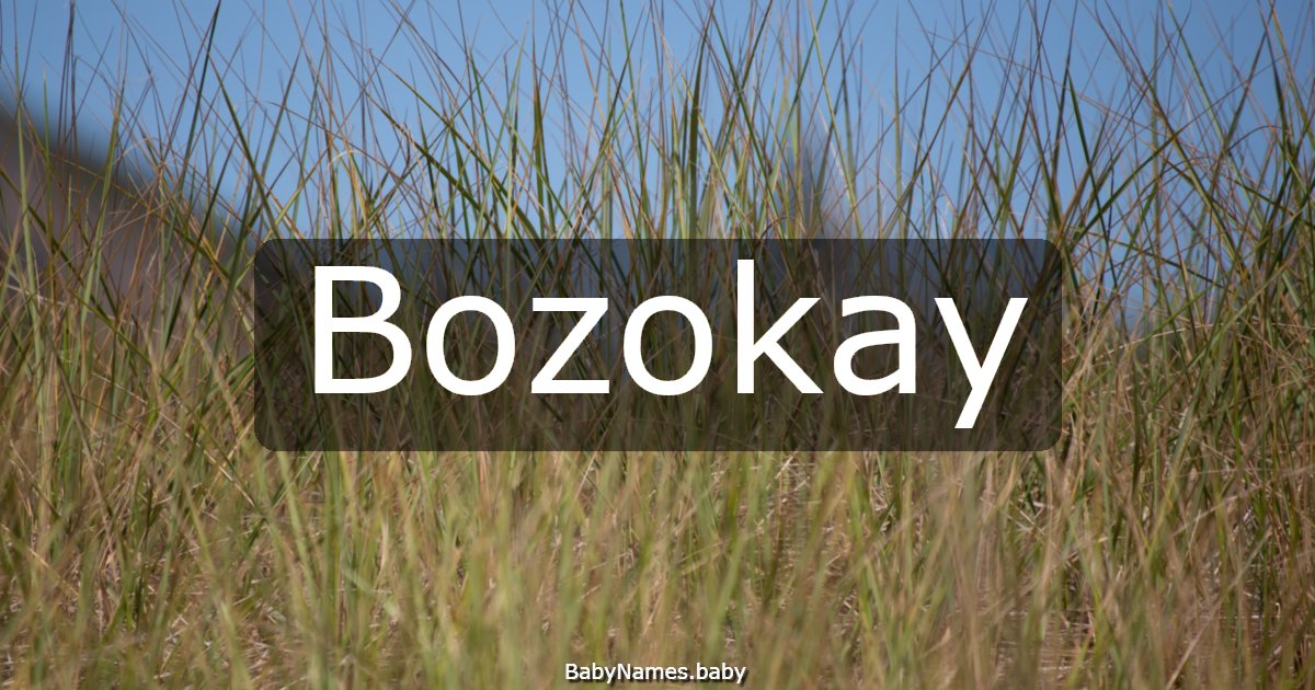 Bozokay