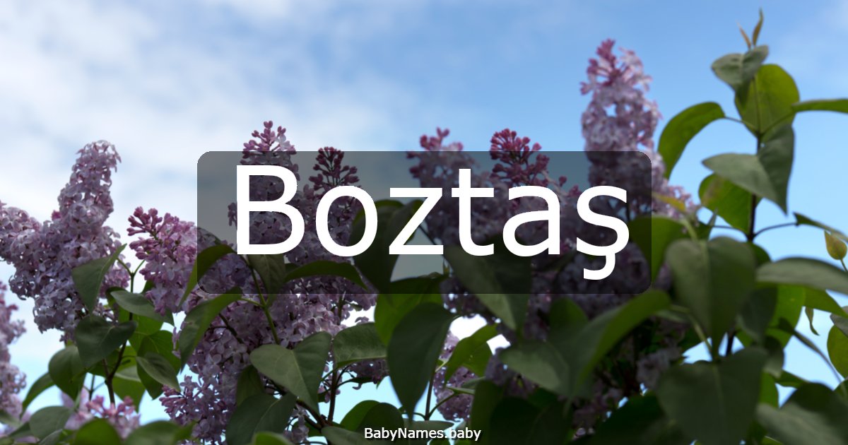 Boztaş