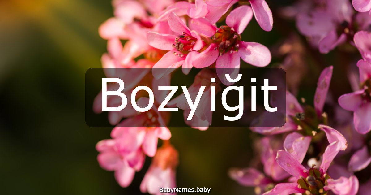 Bozyiğit