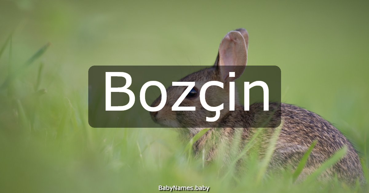 Bozçin