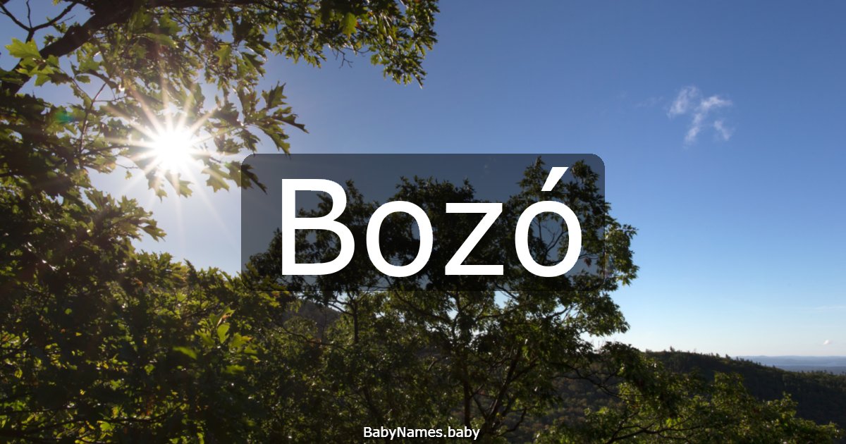 Bozó