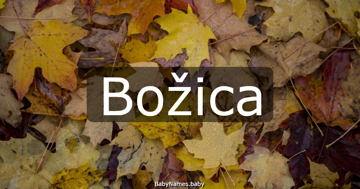 Božica