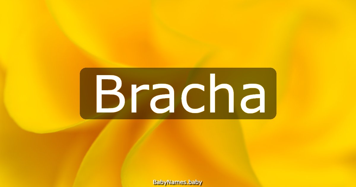 Bracha