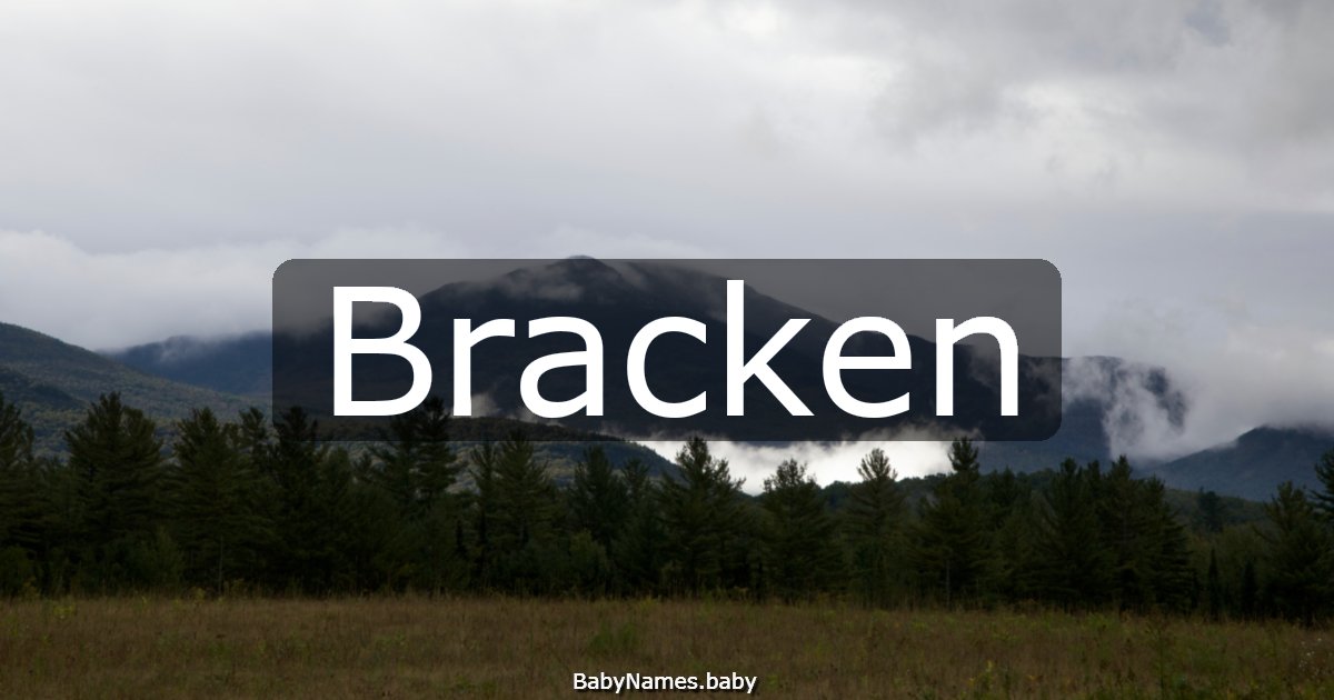 Bracken