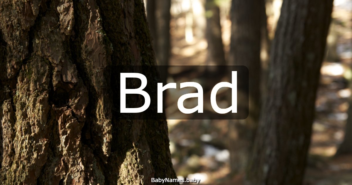 Brad
