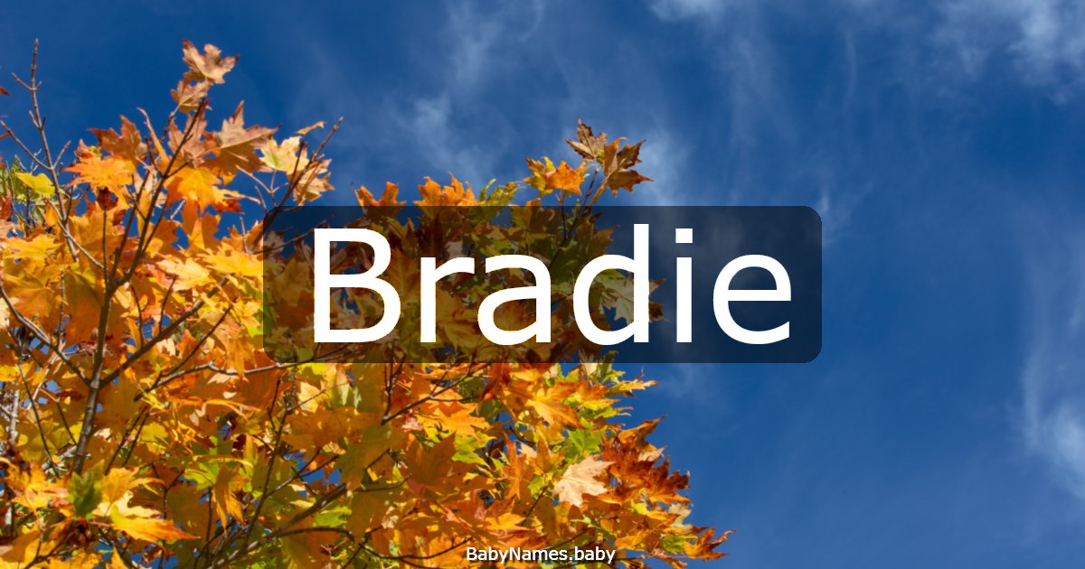 Bradie
