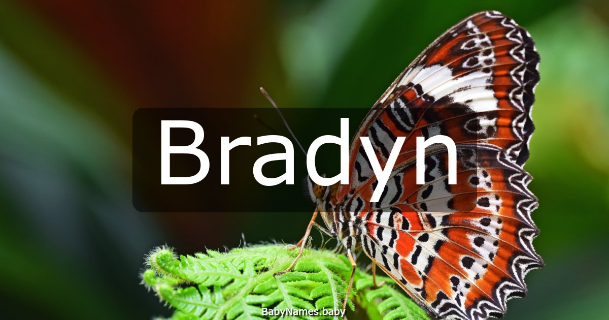 Bradyn