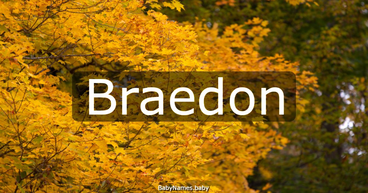 Braedon