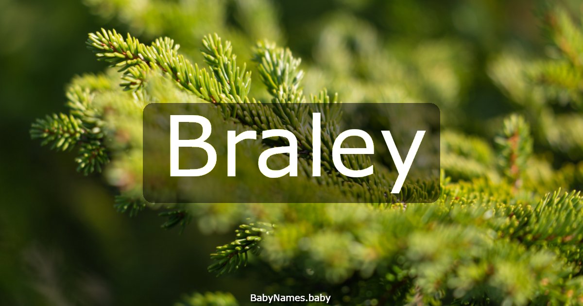 Braley