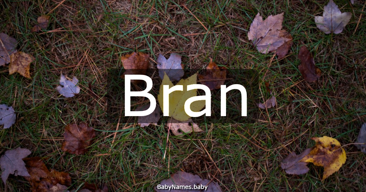 Bran
