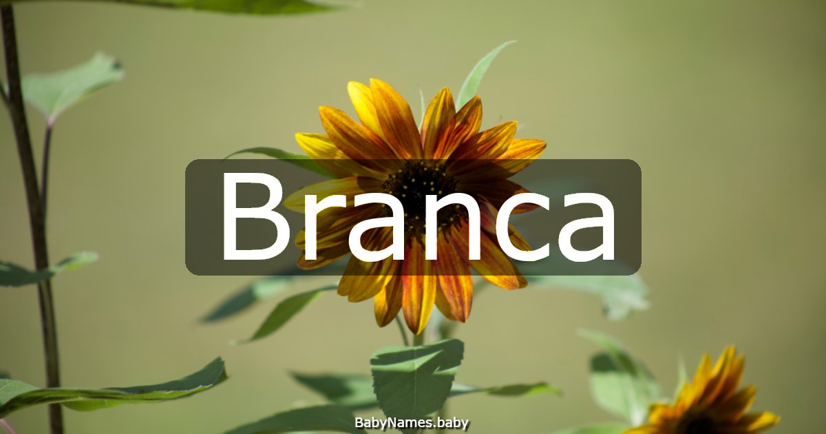 Branca