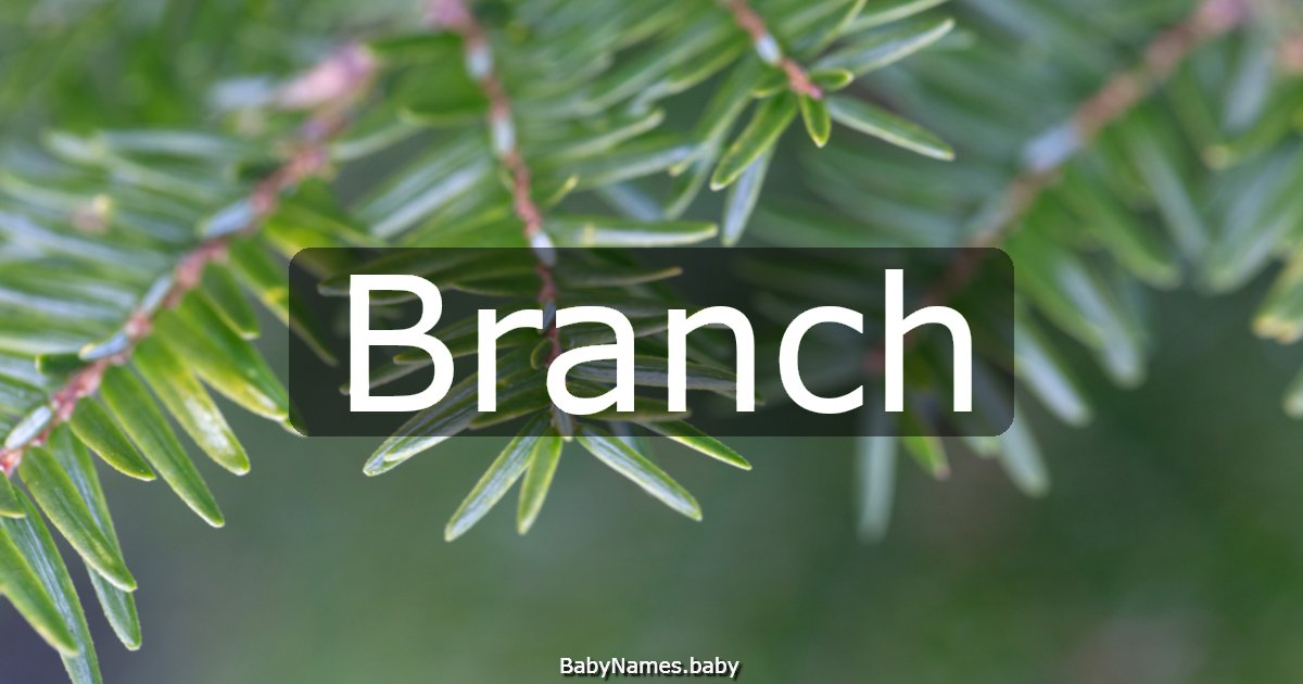 Branch