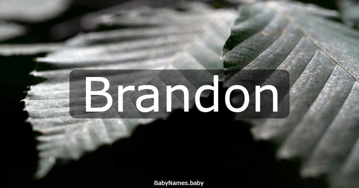 Brandon