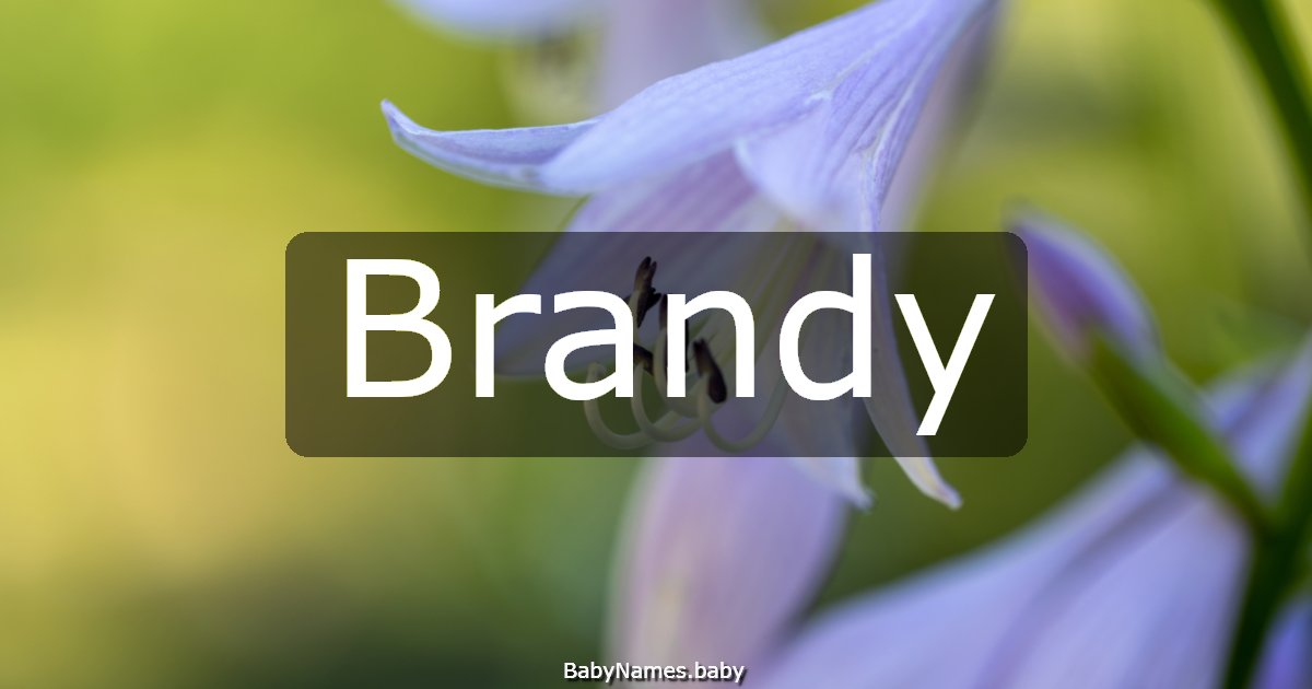 Brandy