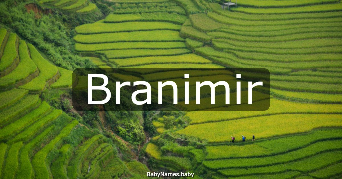 Branimir
