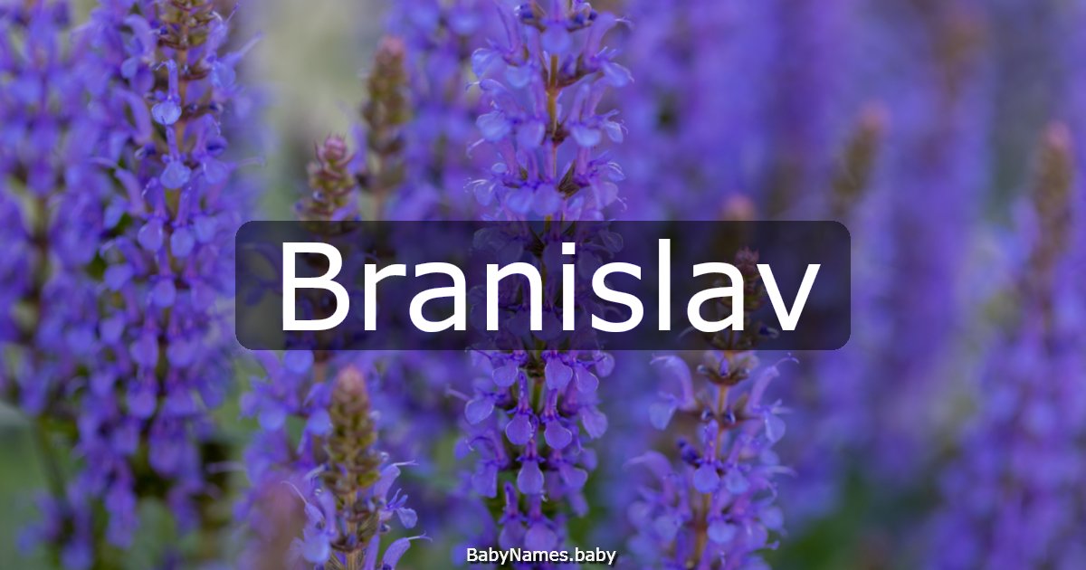 Branislav
