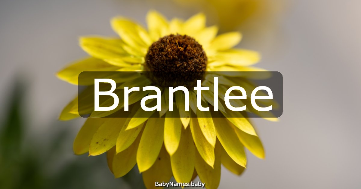 Brantlee